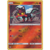 Litten 24/149 SM Base Set Reverse Holo Common Pokemon Card NEAR MINT TCG