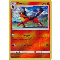 Torracat 16/73 SM Shining Legends Reverse Holo Common Pokemon Card NEAR MINT TCG