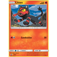 Litten SM02 Black Star Promo Pokemon Card NEAR MINT TCG