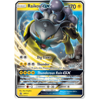 Raikou GX SM121 Black Star Promo Pokemon Card NEAR MINT TCG