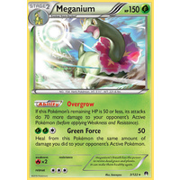 Meganium 3/122 XY Breakpoint Rare Holo Pokemon Card NEAR MINT TCG