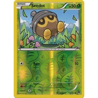 Seedot 4/122 XY Breakpoint Reverse Holo Common Pokemon Card NEAR MINT TCG