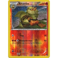 Arcanine 11/122 XY Breakpoint Reverse Holo Uncommon Pokemon Card NEAR MINT TCG
