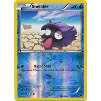 Shellder 22/122 XY Breakpoint Reverse Holo Common Pokemon Card NEAR MINT TCG