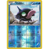 Shellder 23/122 XY Breakpoint Reverse Holo Common Pokemon Card NEAR MINT TCG