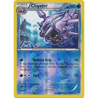 Cloyster 24/122 XY Breakpoint Reverse Holo Uncommon Pokemon Card NEAR MINT TCG
