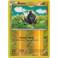 Blitzle 48/122 XY Breakpoint Reverse Holo Common Pokemon Card NEAR MINT TCG