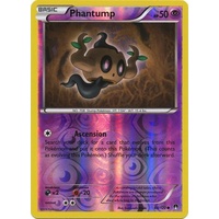 Phantump 64/122 XY Breakpoint Reverse Holo Common Pokemon Card NEAR MINT TCG