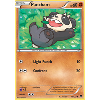 Pancham 71/122 XY Breakpoint Common Pokemon Card NEAR MINT TCG