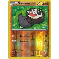 Pancham 71/122 XY Breakpoint Reverse Holo Common Pokemon Card NEAR MINT TCG
