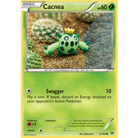 Cacnea 4/162 XY Breakthrough Common Pokemon Card MINT TCG