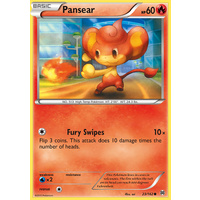 Pansear 23/162 XY Breakthrough Common Pokemon Card MINT TCG