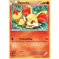 Fennekin 25/162 XY Breakthrough Common Pokemon Card MINT TCG