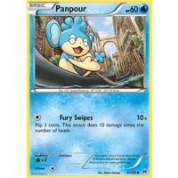 Panpour 41/162 XY Breakthrough Common Pokemon Card MINT TCG