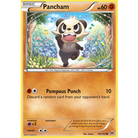 Pancham 86/162 XY Breakthrough Common Pokemon Card MINT TCG