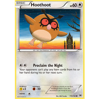 Hoothoot 119/162 XY Breakthrough Common Pokemon Card MINT TCG