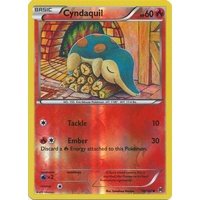 Cyndaquil 18/162 XY Breakthrough Reverse Holo Common Pokemon Card MINT TCG