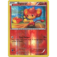 Pansear 23/162 XY Breakthrough Reverse Holo Common Pokemon Card MINT TCG
