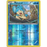 Panpour 41/162 XY Breakthrough Reverse Holo Common Pokemon Card MINT TCG