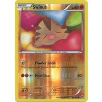 Swinub 80/162 XY Breakthrough Reverse Holo Common Pokemon Card MINT TCG