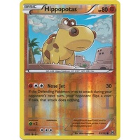 Hippopotas 83/162 XY Breakthrough Reverse Holo Common Pokemon Card MINT TCG