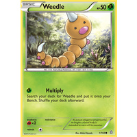 Weedle 1/160 XY Primal Clash Common Pokemon Card NEAR MINT TCG