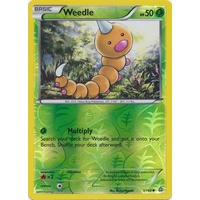 Weedle 1/160 XY Primal Clash Reverse Holo Common Pokemon Card NEAR MINT TCG
