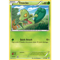 Treecko 6/160 XY Primal Clash Common Pokemon Card NEAR MINT TCG