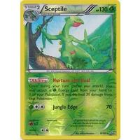 Sceptile 8/160 XY Primal Clash Reverse Holo Rare Pokemon Card NEAR MINT TCG