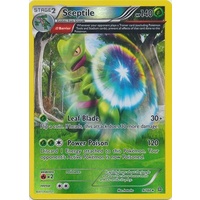 Sceptile 9/160 XY Primal Clash Reverse Holo Rare Pokemon Card NEAR MINT TCG