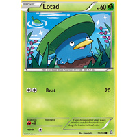 Lotad 10/160 XY Primal Clash Common Pokemon Card NEAR MINT TCG