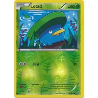 Lotad 10/160 XY Primal Clash Reverse Holo Common Pokemon Card NEAR MINT TCG