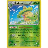 Ludicolo 12/160 XY Primal Clash Reverse Holo Rare Pokemon Card NEAR MINT TCG