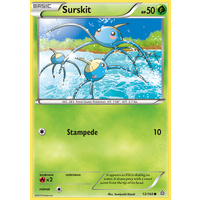 Surskit 13/160 XY Primal Clash Common Pokemon Card NEAR MINT TCG