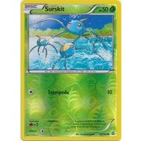 Surskit 13/160 XY Primal Clash Reverse Holo Common Pokemon Card NEAR MINT TCG