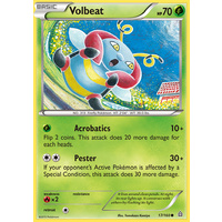 Volbeat 17/160 XY Primal Clash Common Pokemon Card NEAR MINT TCG
