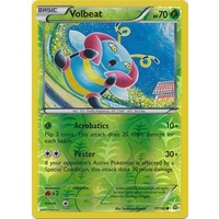 Volbeat 17/160 XY Primal Clash Reverse Holo Common Pokemon Card NEAR MINT TCG