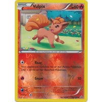 Vulpix 20/160 XY Primal Clash Reverse Holo Common Pokemon Card NEAR MINT TCG