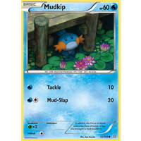 Mudkip 33/160 XY Primal Clash Common Pokemon Card NEAR MINT TCG