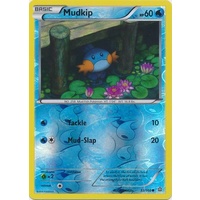 Mudkip 33/160 XY Primal Clash Reverse Holo Common Pokemon Card NEAR MINT TCG