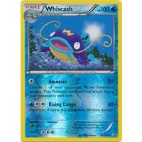 Whiscash 40/160 XY Primal Clash Reverse Holo Uncommon Pokemon Card NEAR MINT TCG