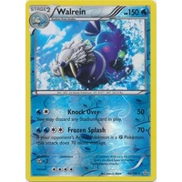 Walrein 48/160 XY Primal Clash Reverse Holo Rare Pokemon Card NEAR MINT TCG