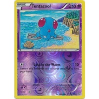 Tentacool 70/160 XY Primal Clash Reverse Holo Common Pokemon Card NEAR MINT TCG