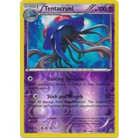Tentacruel 72/160 XY Primal Clash Reverse Holo Rare Pokemon Card NEAR MINT TCG