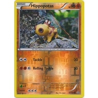 Hippopotas 87/160 XY Primal Clash Reverse Holo Common Pokemon Card NEAR MINT TCG