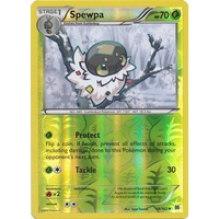 Spewpa 14/162 XY Breakthrough Reverse Holo Uncommon Pokemon Card MINT TCG