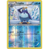 Prinplup 37/162 XY Breakthrough Reverse Holo Uncommon Pokemon Card MINT TCG