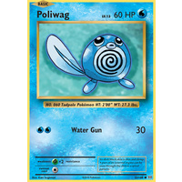 Poliwag 23/108 XY Evolutions Common Pokemon Card NEAR MINT TCG