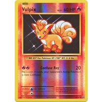 Vulpix 14/108 XY Evolutions Reverse Holo Common Pokemon Card NEAR MINT TCG