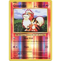 Growlithe 17/108 XY Evolutions Reverse Holo Common Pokemon Card NEAR MINT TCG